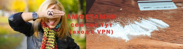 гашик Белокуриха