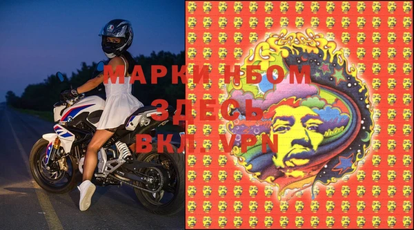 гашик Белокуриха