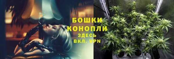 гашик Белокуриха