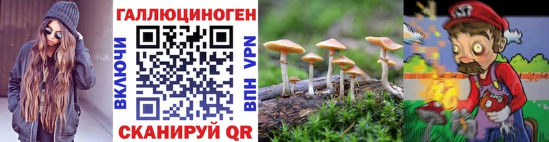 сколько стоит  Кстово  Псилоцибиновые грибы мухоморы 